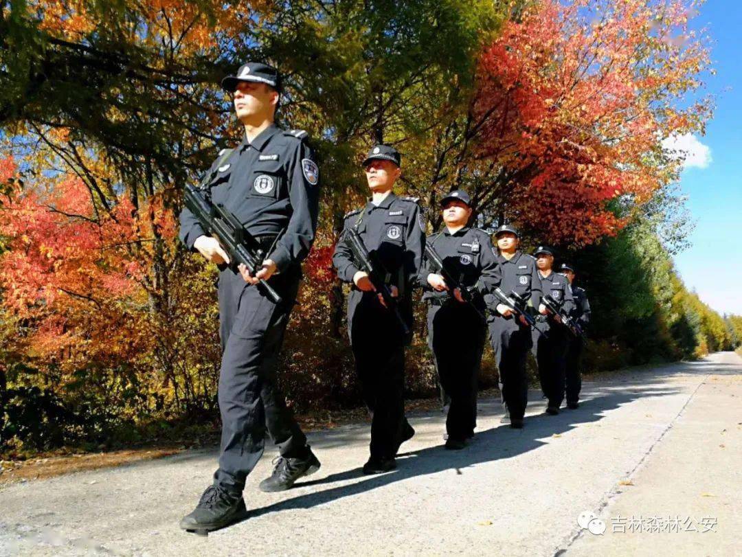吉林省森林警察总队图片