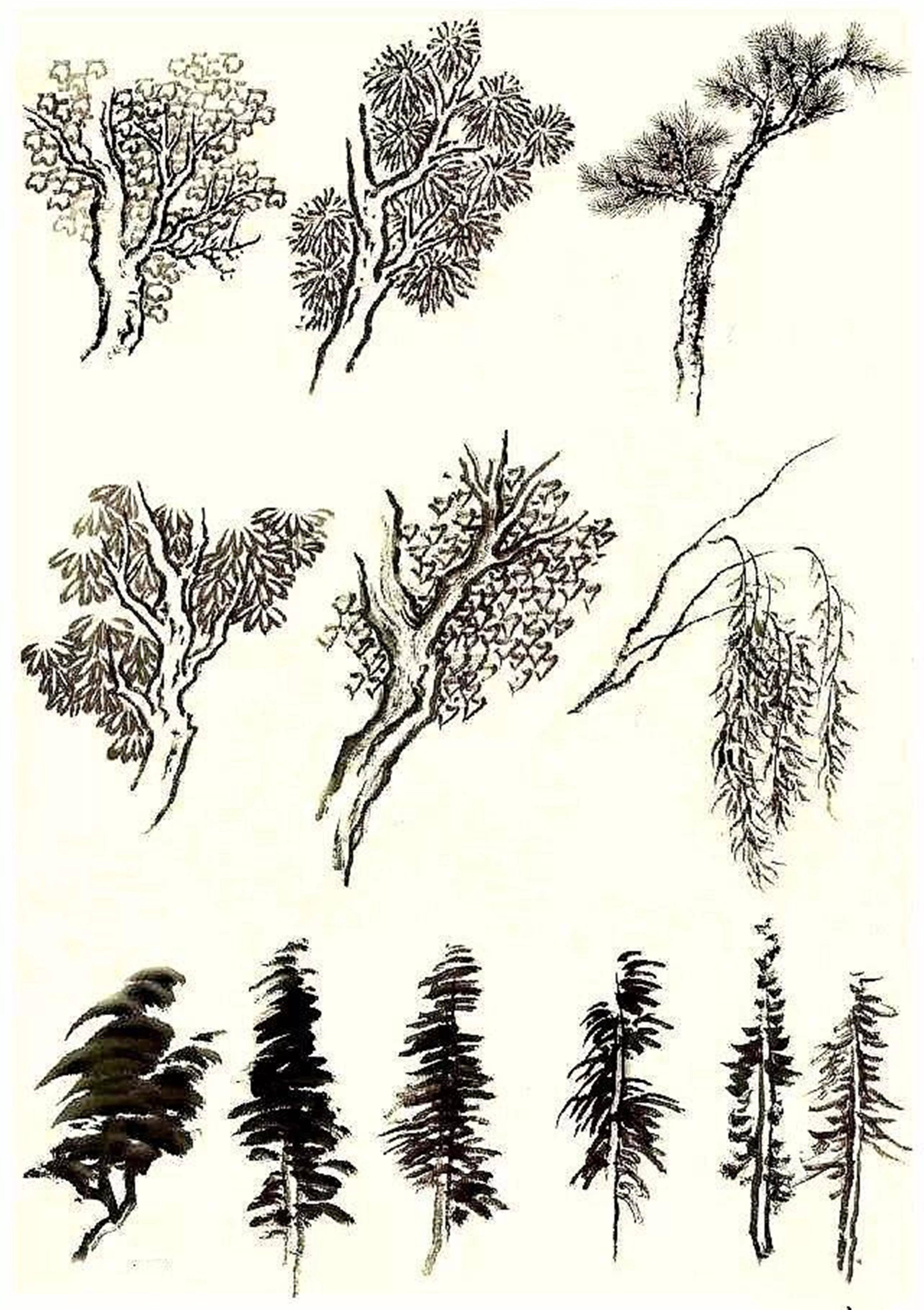 水墨画树干画法和步骤图片