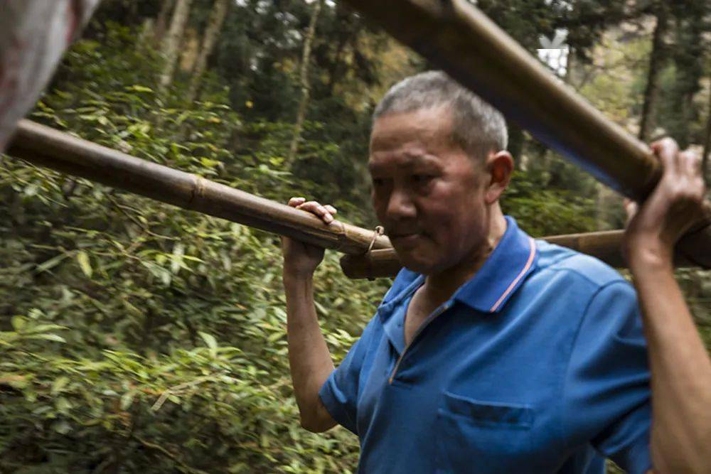的轿夫陈松林显得十分吃力轿子,其实是用两根结实的长竹竿绑扎成担架