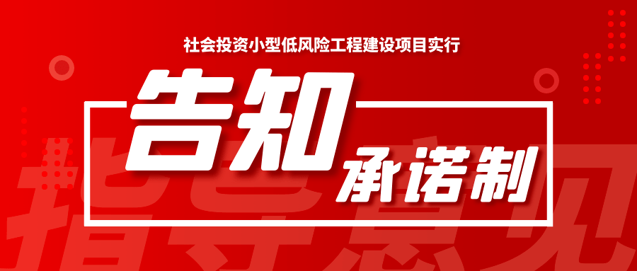 采用告知承诺制方式和不采用，采用告知承诺制方式和不采用怎么选