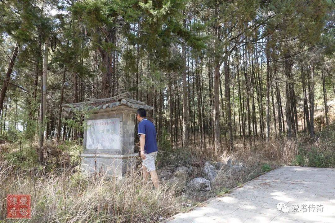 2020年夏史迹旅行简记(七)巍山古城,德源城遗址