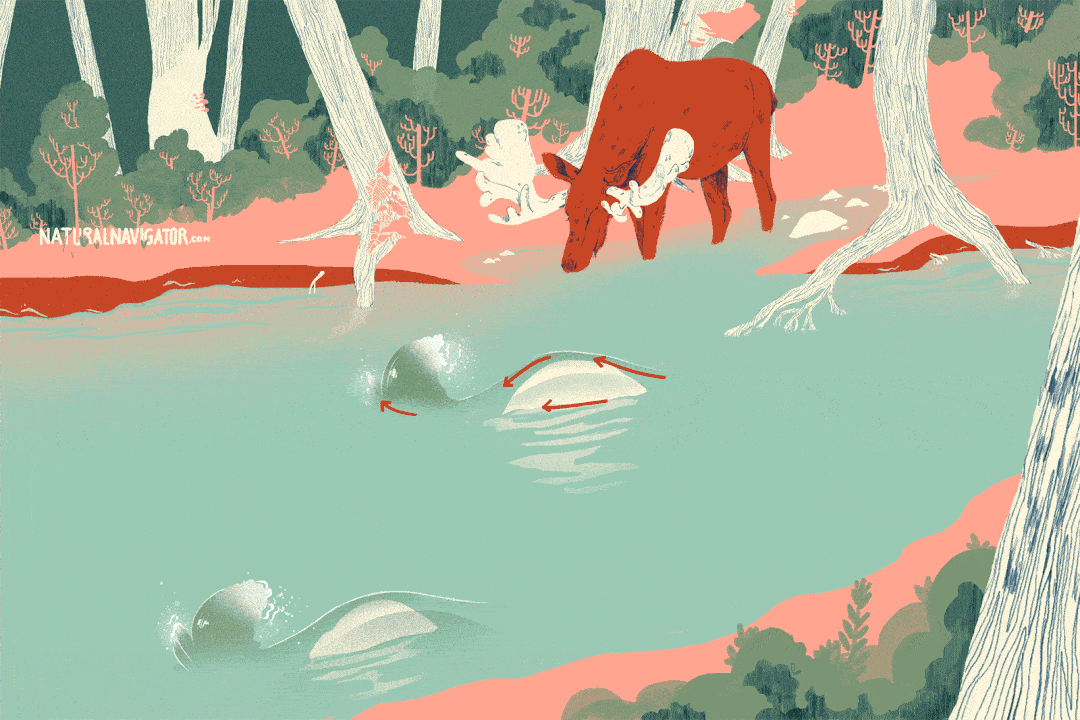 一切平凡的事物都妙趣横生丨这套书又双叒叕拿奖啦