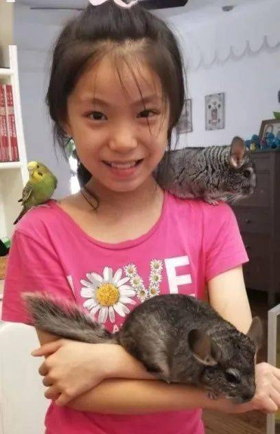 宝山区图书馆借助秦文君,梅子涵,庞婕蕾,殷健灵等四位"童心筑梦"宝山