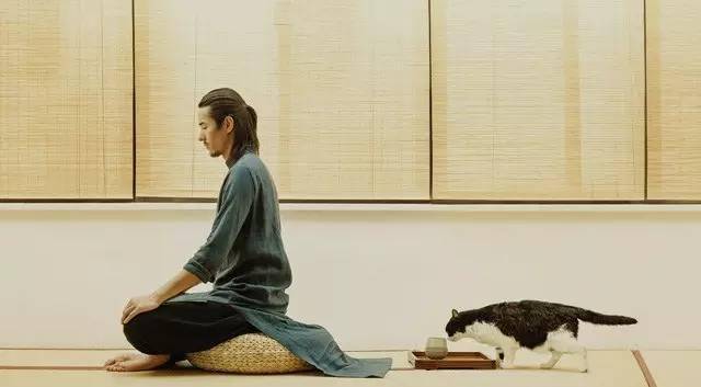 茶人服透着的那股东方神韵犹如天仙