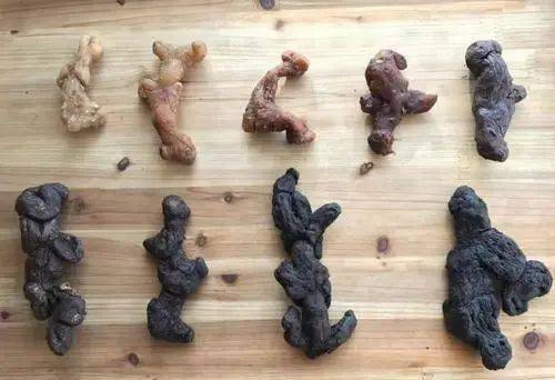 普雅学医分享04坤土之黄 天地之精