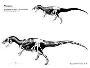 德雷克果实能力是怎么变成异特龙的,看考据