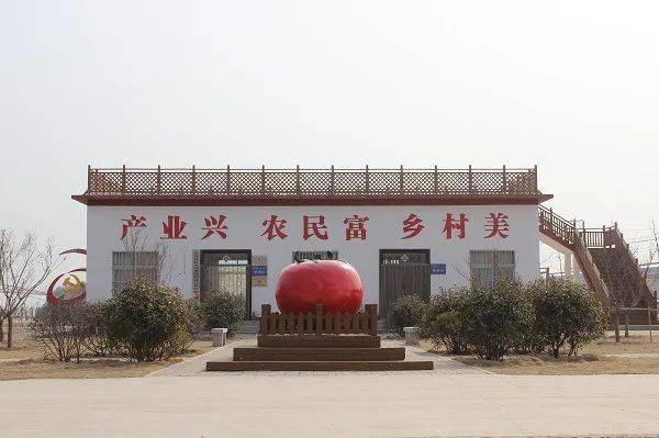 南乐县张果屯镇:四力齐发 高质量推进乡村振兴_手机搜狐网