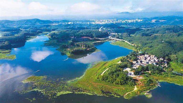 海南日报整版聚焦白沙:脱贫摘帽不松劲 乡村振兴再发力_橡胶