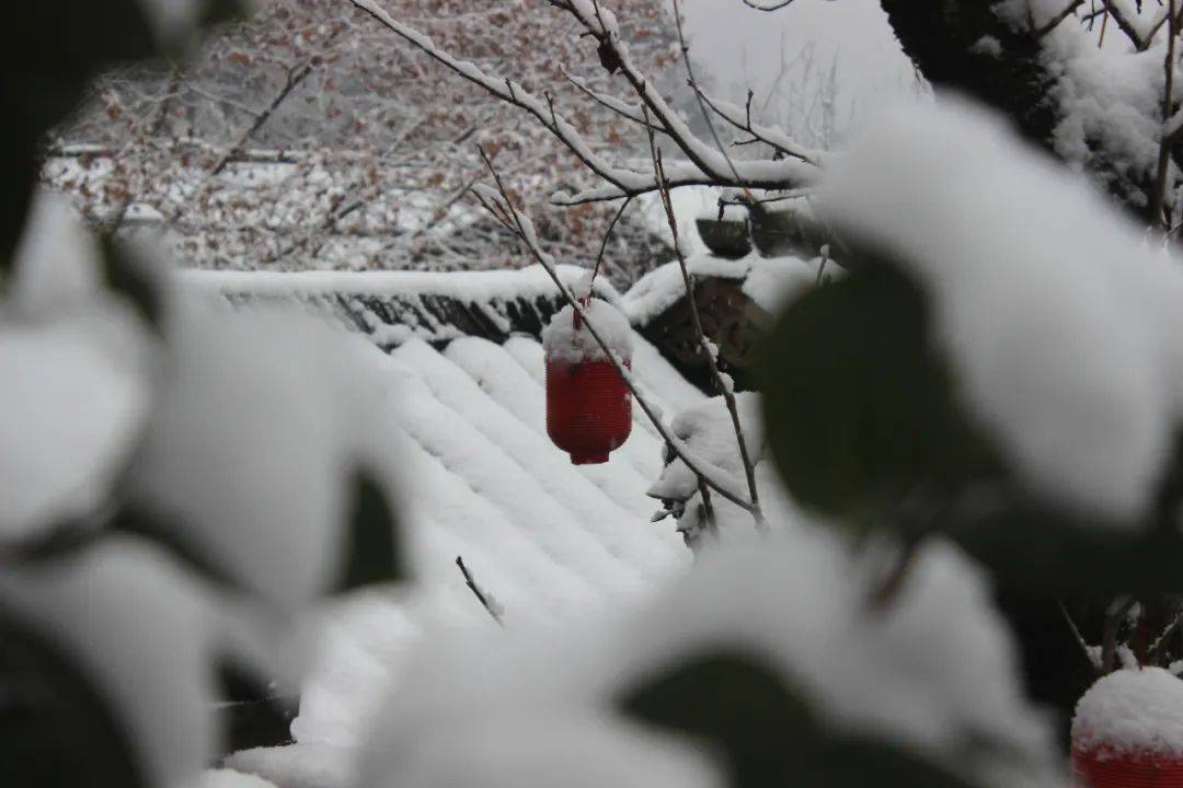 都江堰灵岩山新年第一场雪满是古风之美