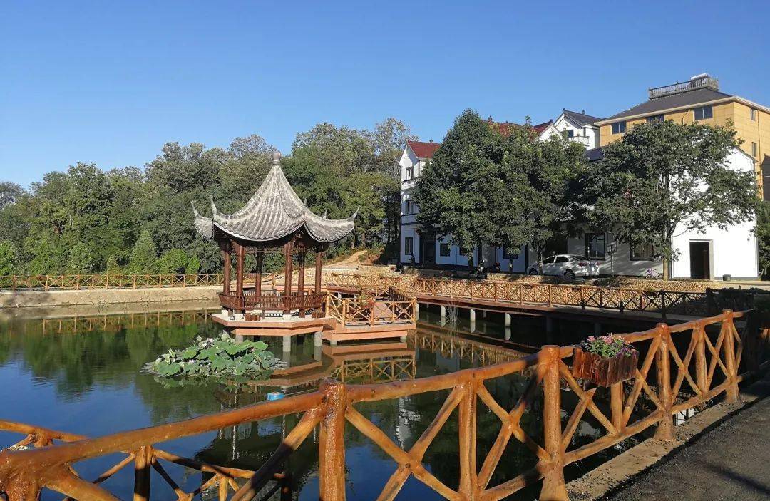 "浙江省森林城镇"名单出炉,衢州11个乡镇入选~_景观