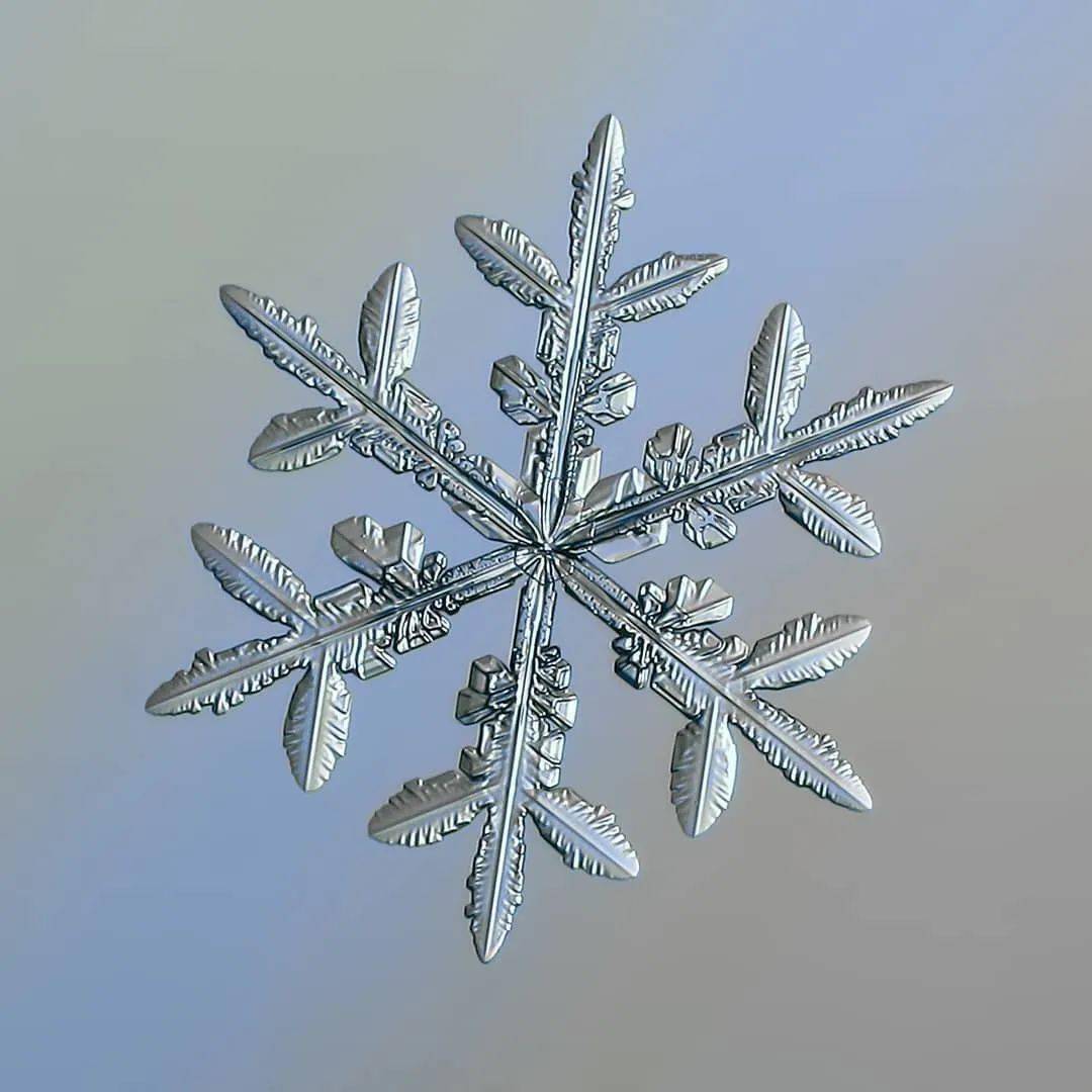 冬天是什么形状?让它来告诉你_雪花