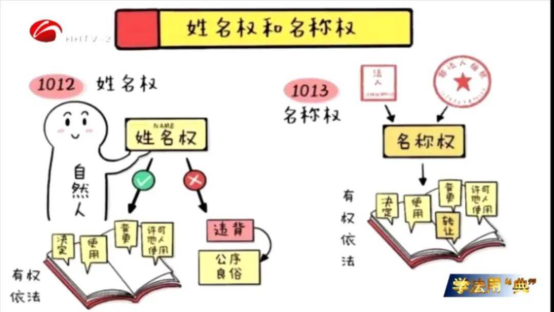 在《民法典》中,姓名权被直接表述为"自然人"的权利,自然人代表范围更