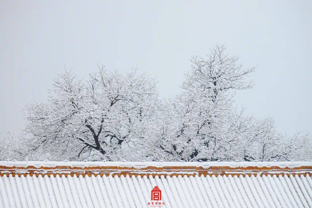 故宮以東|新年心願:我想北京能為我下一場雪