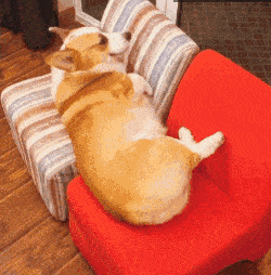 250_254gif 动态图 动图