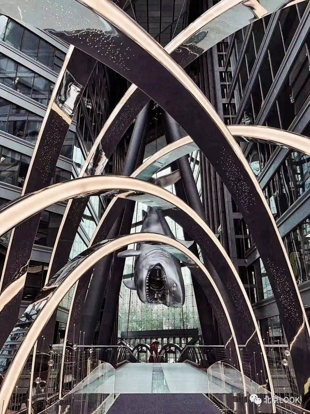 解锁冬日绿意 · 漫游北京芳草地 | 北京look_未来