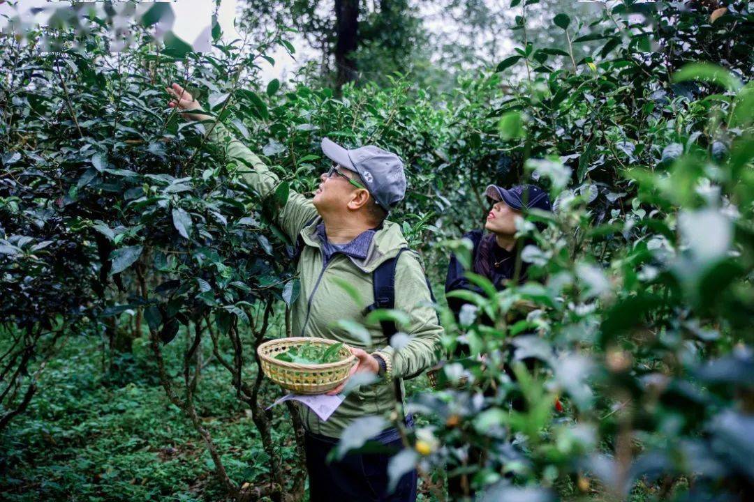 尚玉四境"融·自然"溯源之旅正式开启 大家汇客厅