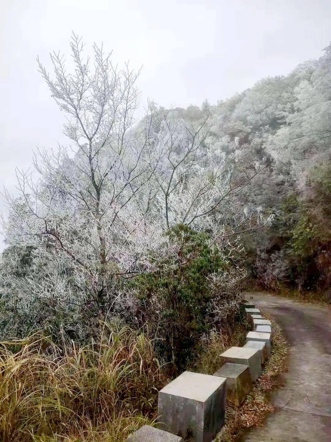强冷空气袭来惠州惠东这里下雪啦太壮观了