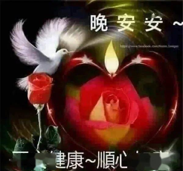 1月睡前晚安問候祝福圖片帶字群發晚上好問候動畫表情包