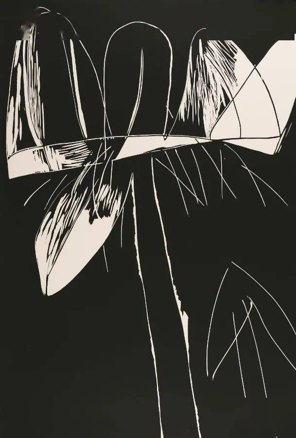 访谈| 第八篇 广军 ——神州版画博物馆典藏版画家系列访谈