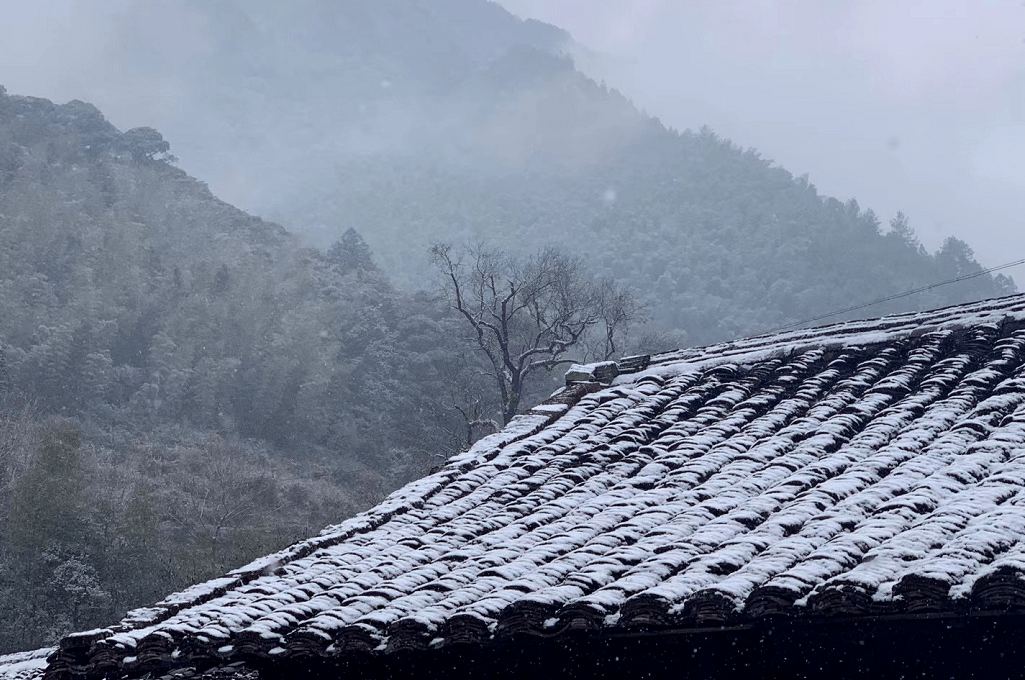 下雪了 一大波乡村雪景照等你欣赏