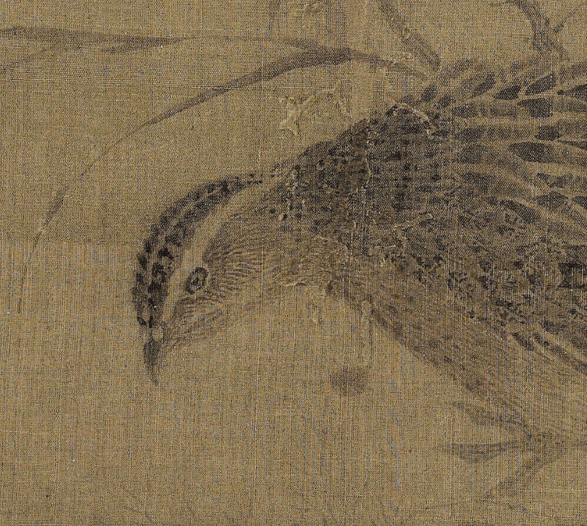 既然鹌鹑这么可爱,为什么要斗鹌鹑?