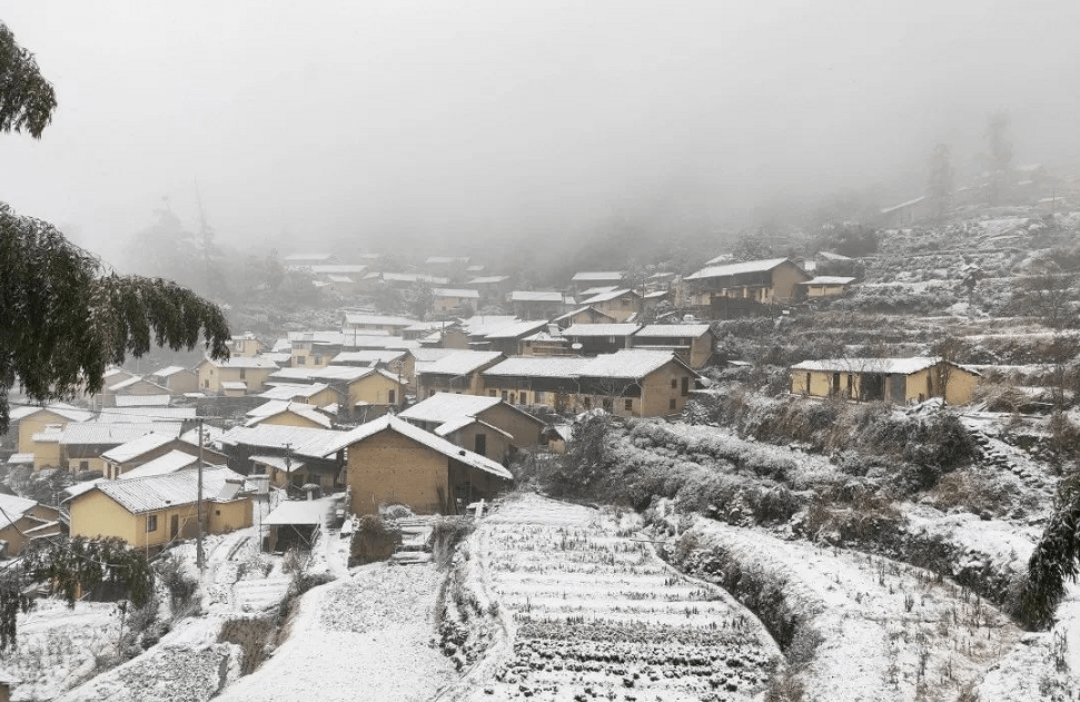 下雪的景色 农村图片