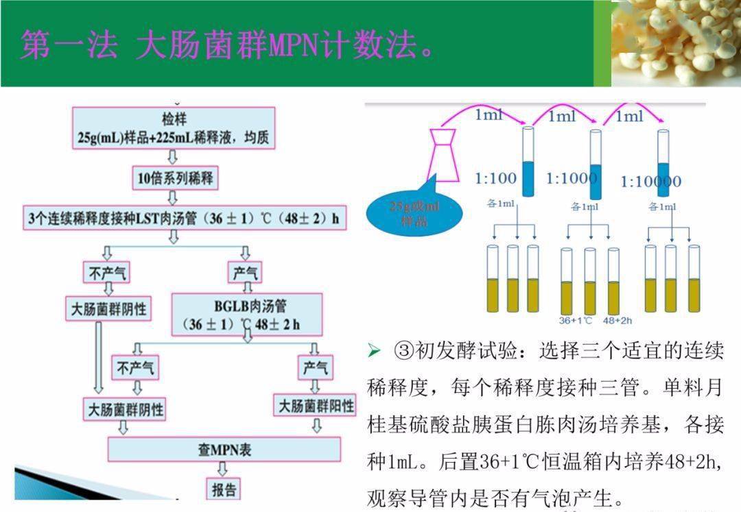 食品中大肠菌群金黄色葡萄球菌的检验与分析