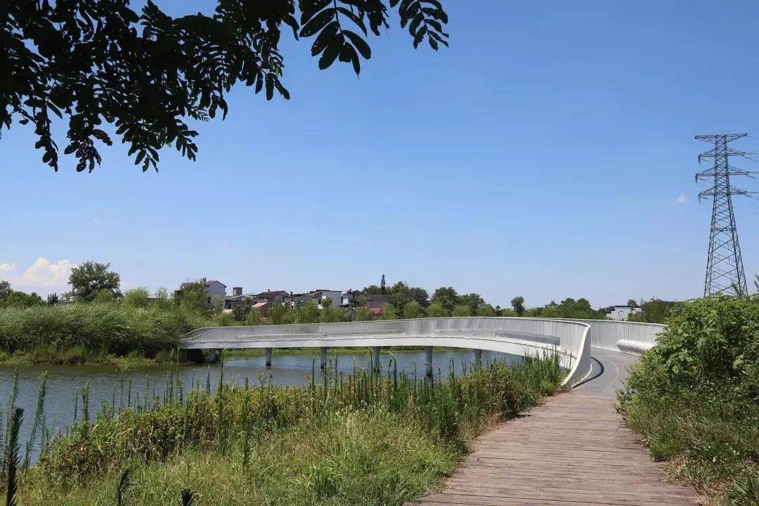 全县首个省级园林城镇桐琴镇拿下这项省级荣誉