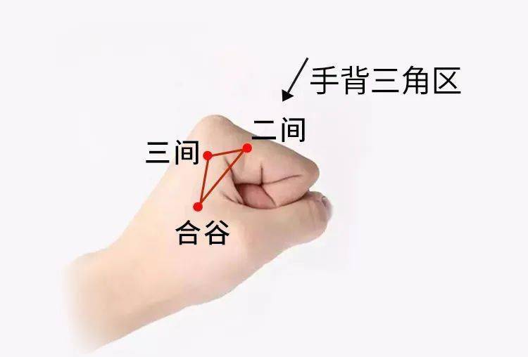 桡侧凹陷处;合谷:大肠经第4穴,在手背,第1,2掌骨间,当第2掌骨桡侧的