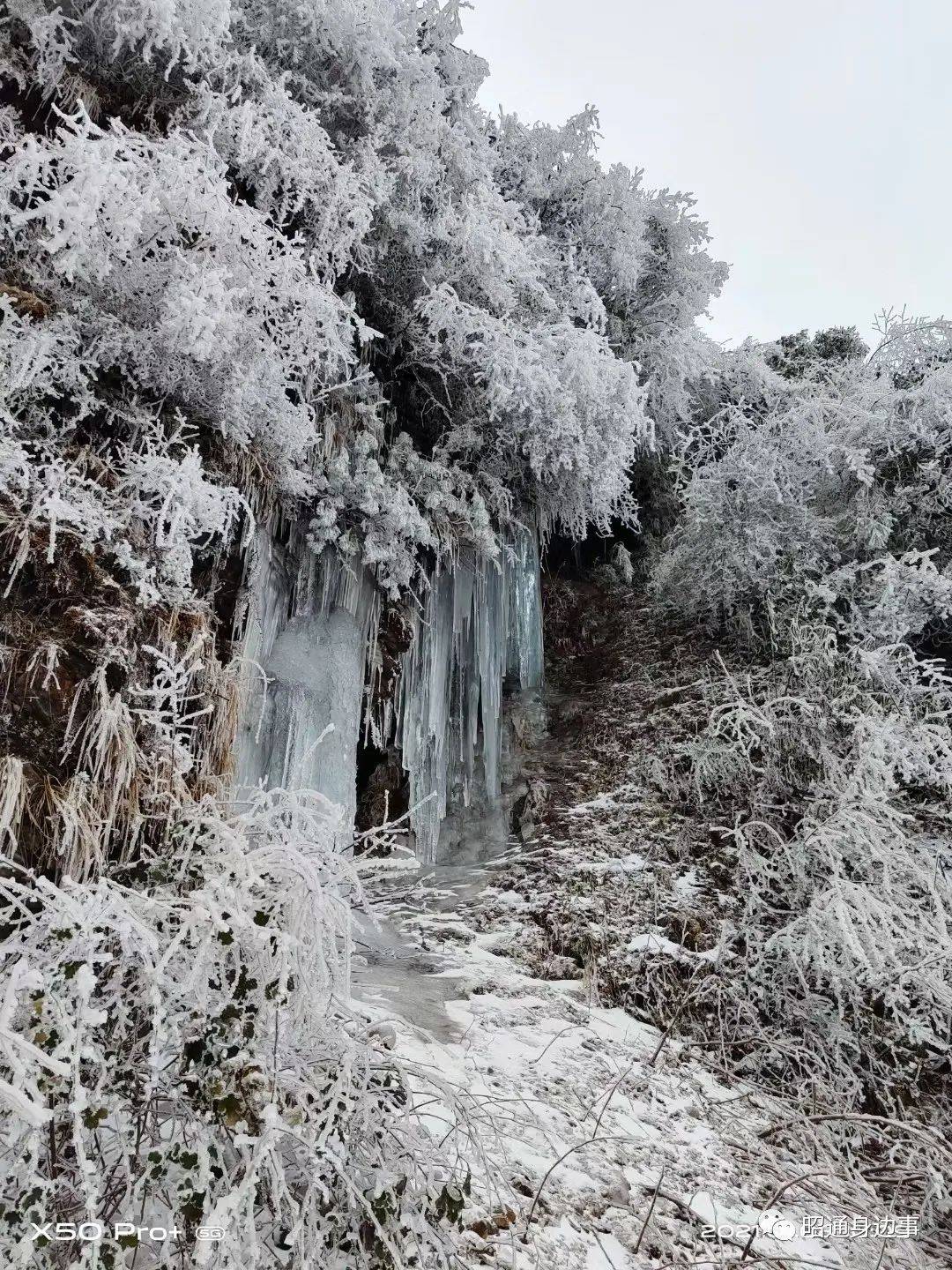 昭通轿顶山图片