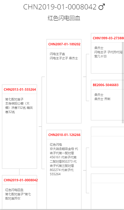 北京名家京大鴿舍王文君桑傑士閃電王子近親回血蓋比公牛速霸龍等優秀