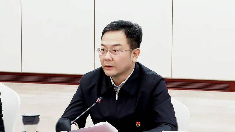 李林指出围绕履行全面从严治党主体责任,提升党的建设质量.