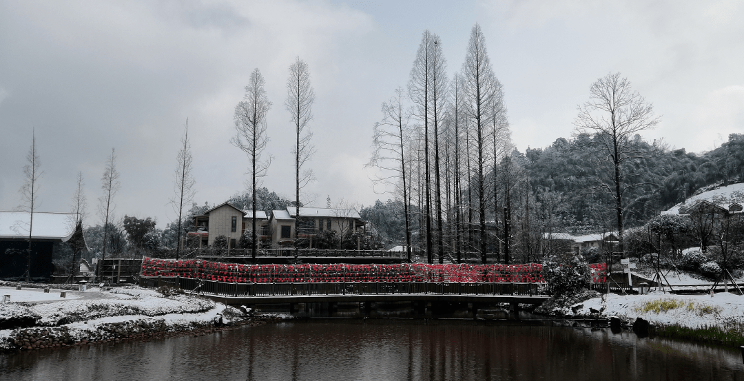 美翻了雪后的合江金龙湖玉兰山美得像童话世界