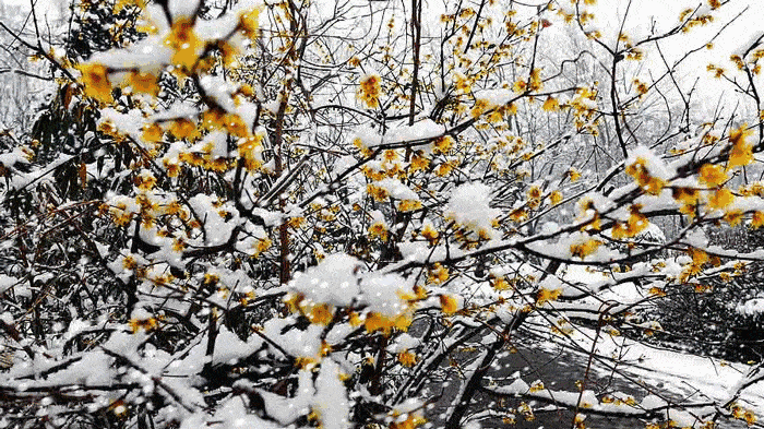 700_393gif 动态图 动图