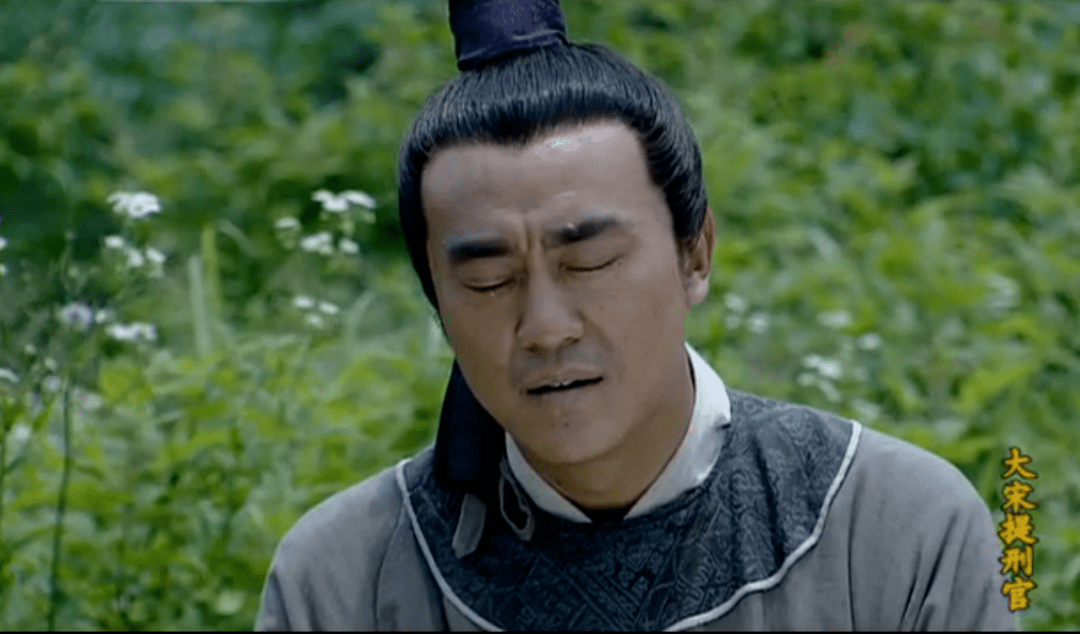 再无人敢拍《大宋提刑官》_宋慈