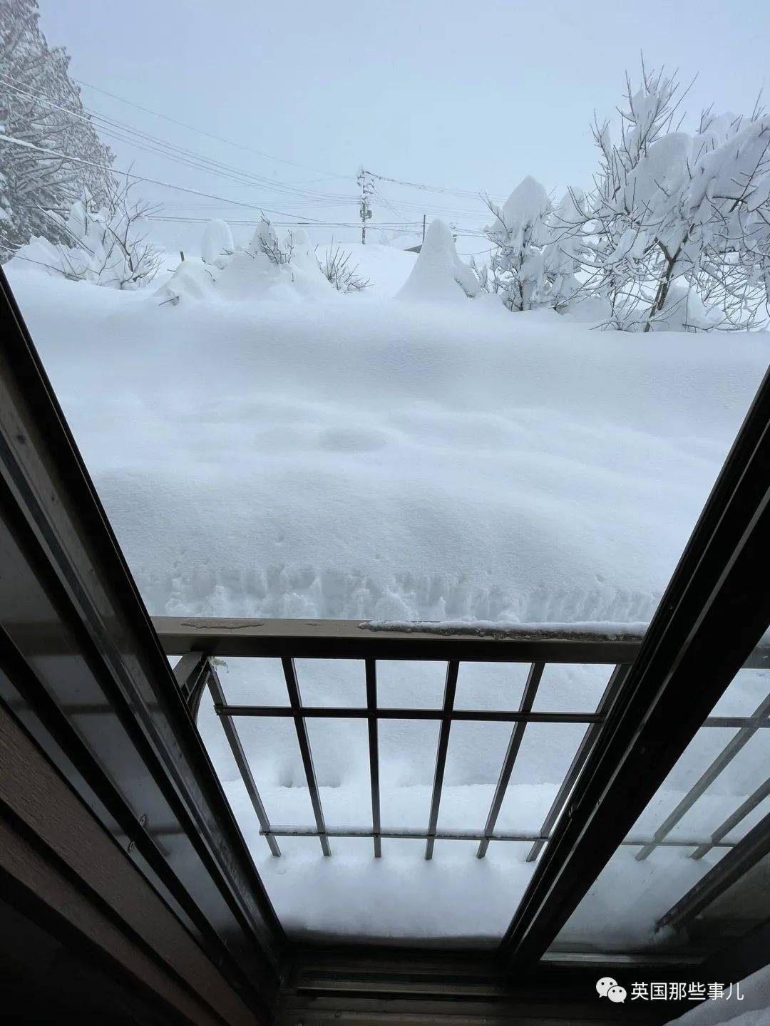 霓虹来了一大波暴风雪日本网友玩嗨了