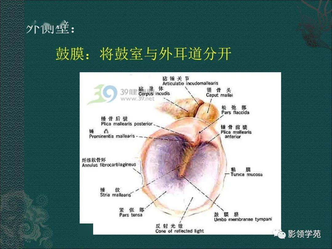 耳解剖及常见疾病影像表现