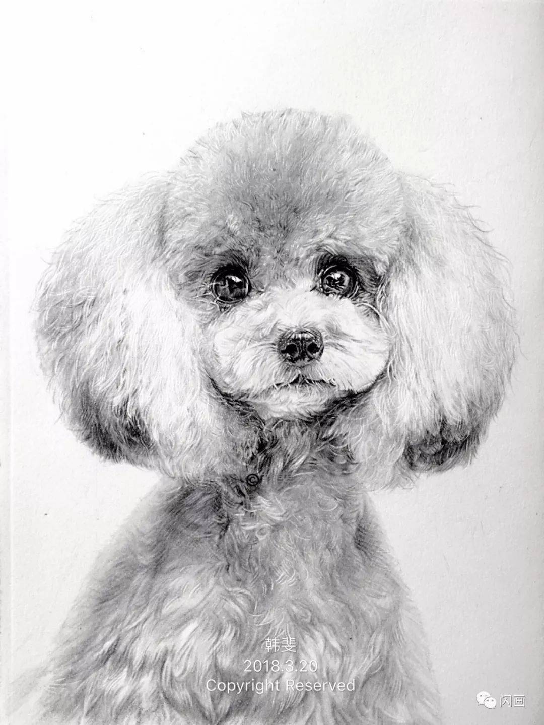 各种狗狗的画法,收藏这一篇就够了!_教程