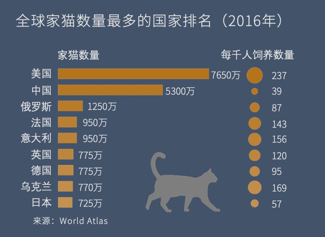 每年有上百亿野生动物死在了人畜无害的流浪猫手上