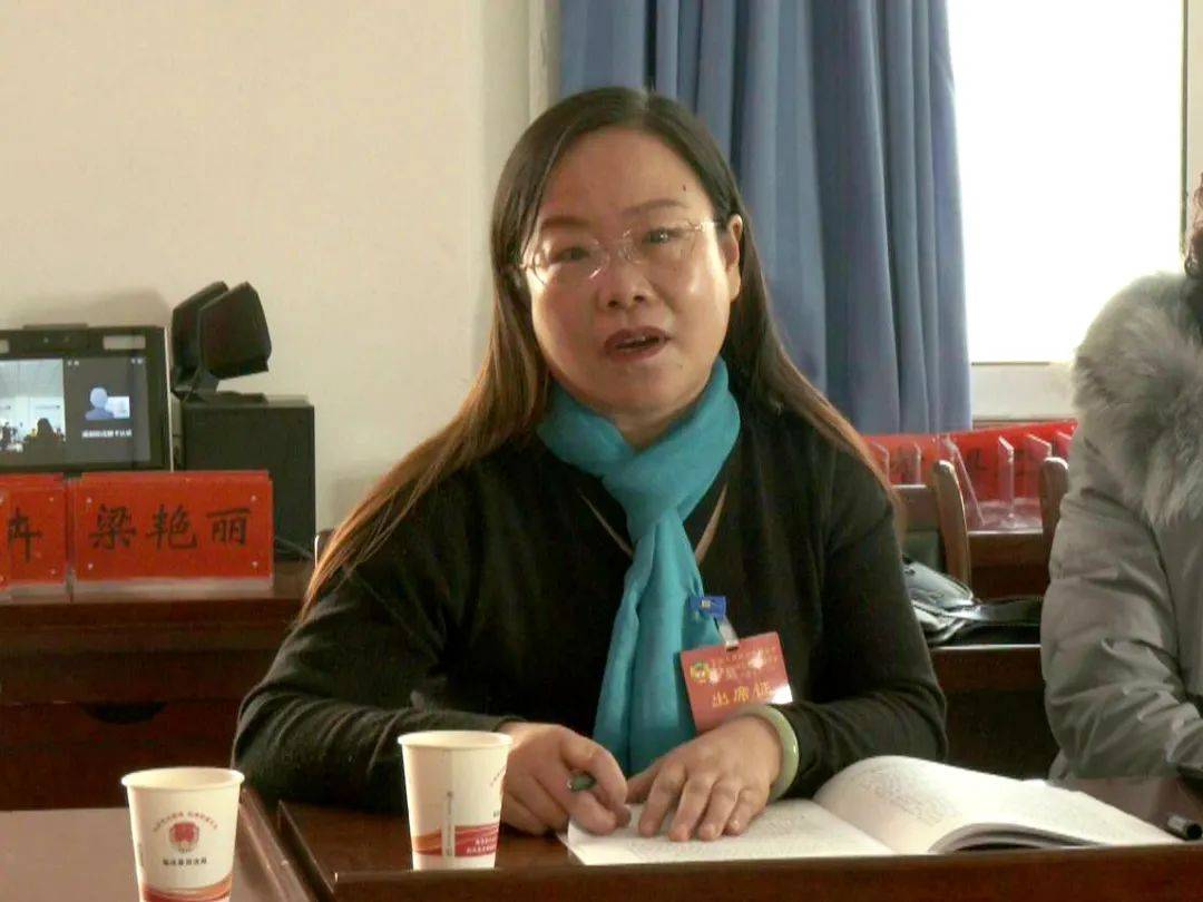 县政协委员 潘淑芳:"如果打造旅游城市,应该是先面山,先重点面山临洮