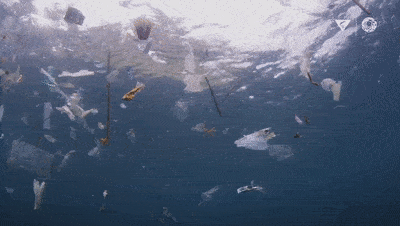 【新书发售】虽然疫情隔绝了我们和海洋，但人类从未停止对它的迫害——塑料海洋