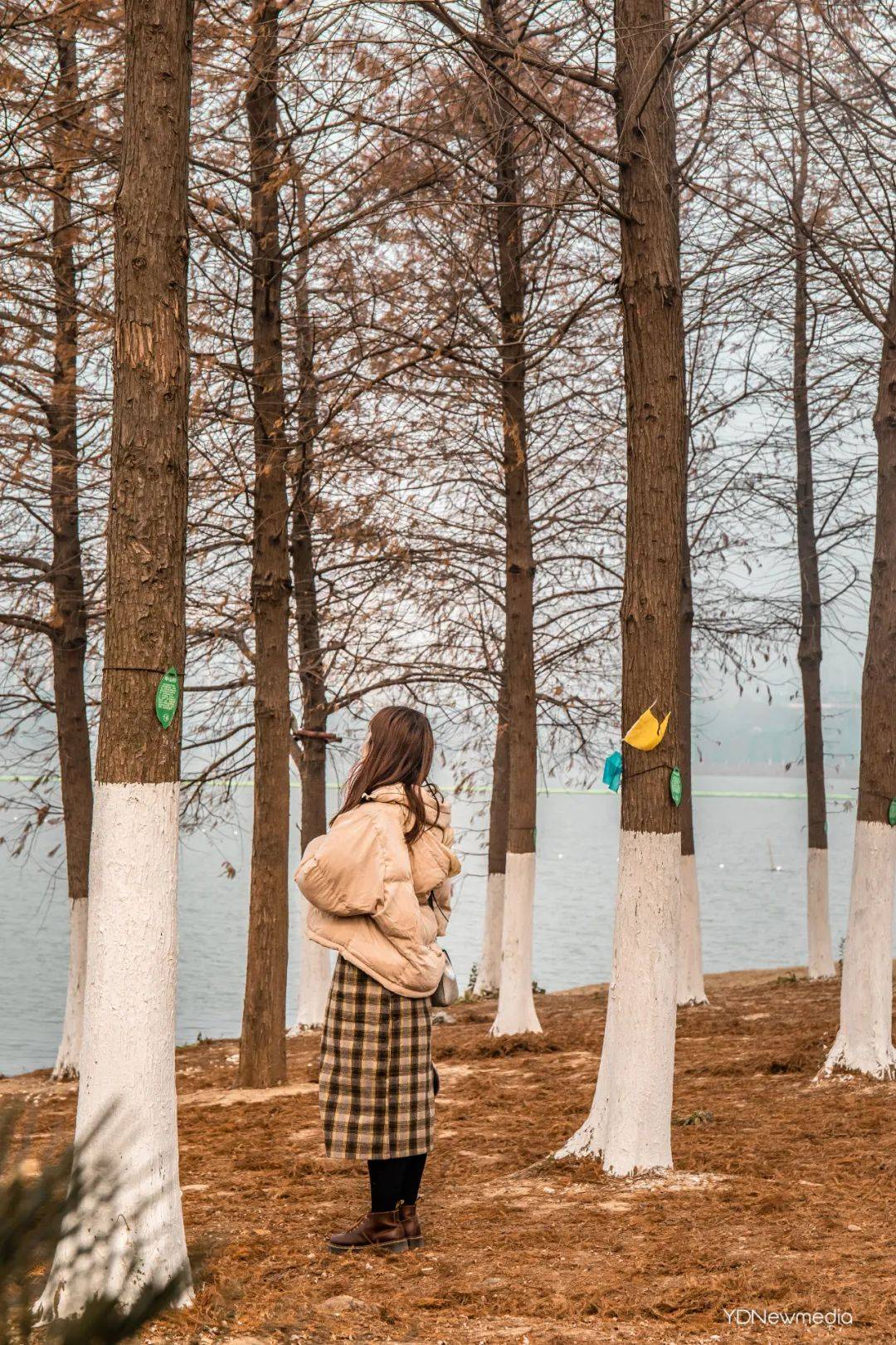 武汉马湖女图片