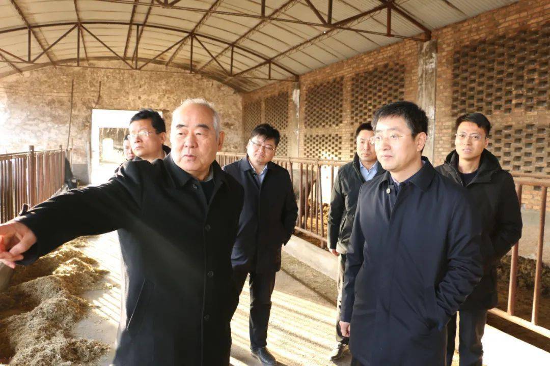增量提质高点开局县长姚俊峰深入苏坊镇调研农业产业发展工作