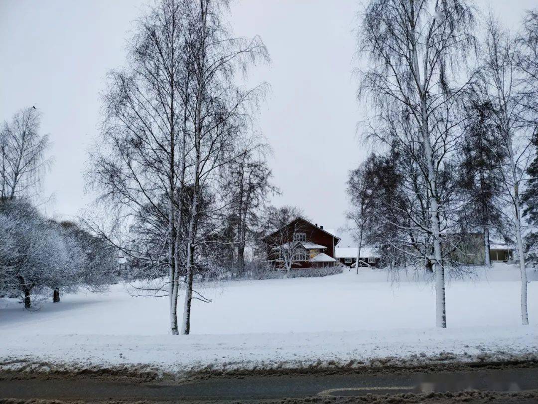 今日份雪景_北欧