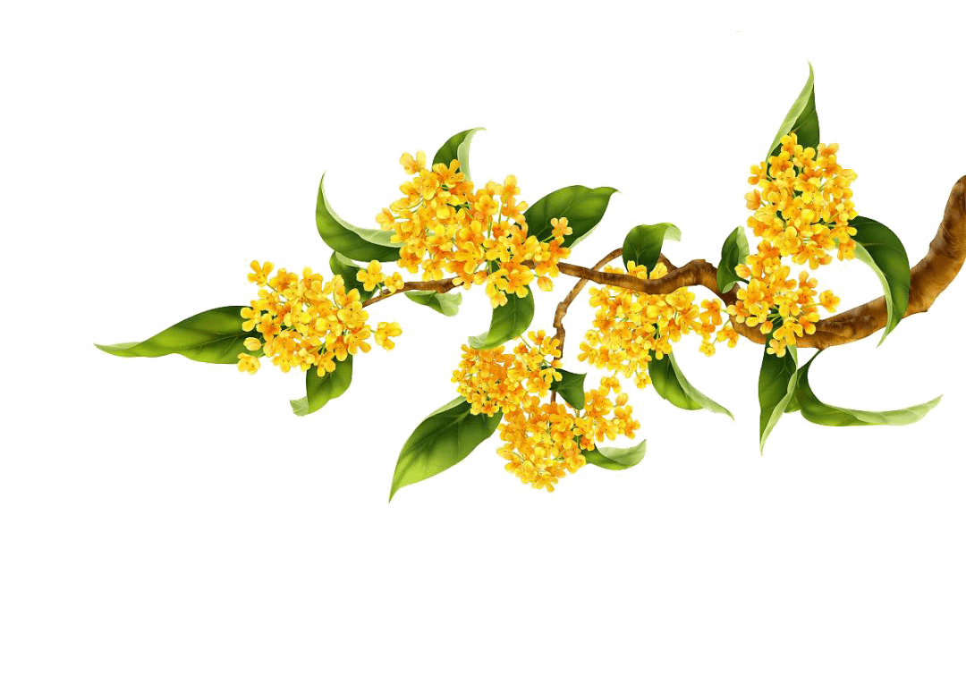 广教社造丨在逃"巧手"神仙操作,你也可以做得到