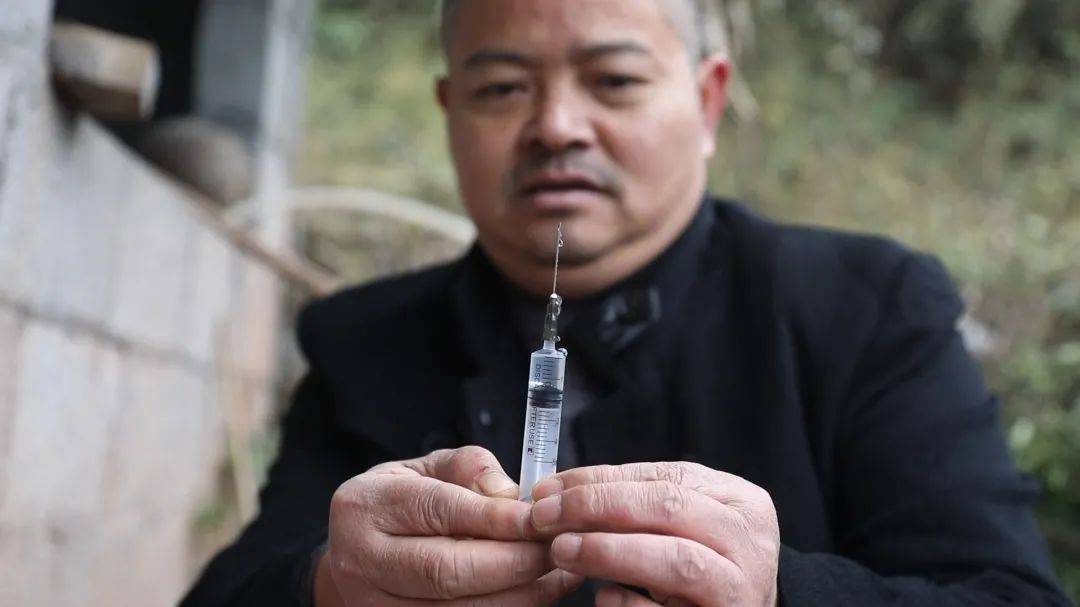 又一个了不起的重庆老板,当兽医不赚钱改行卖鞋,如今生意做得风生水起