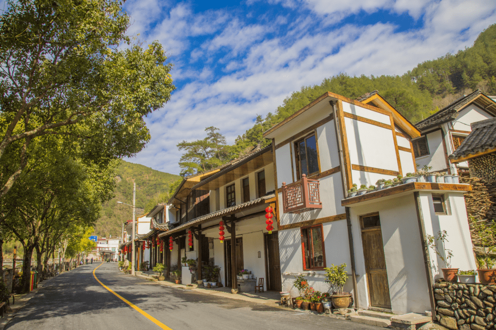 丽水市4个县获评2020年度全省深化千万工程建设新时代美丽乡村农村人