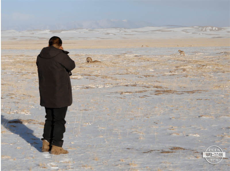 惊奇张掖摄影师张玉林可可西里惊险遭遇记