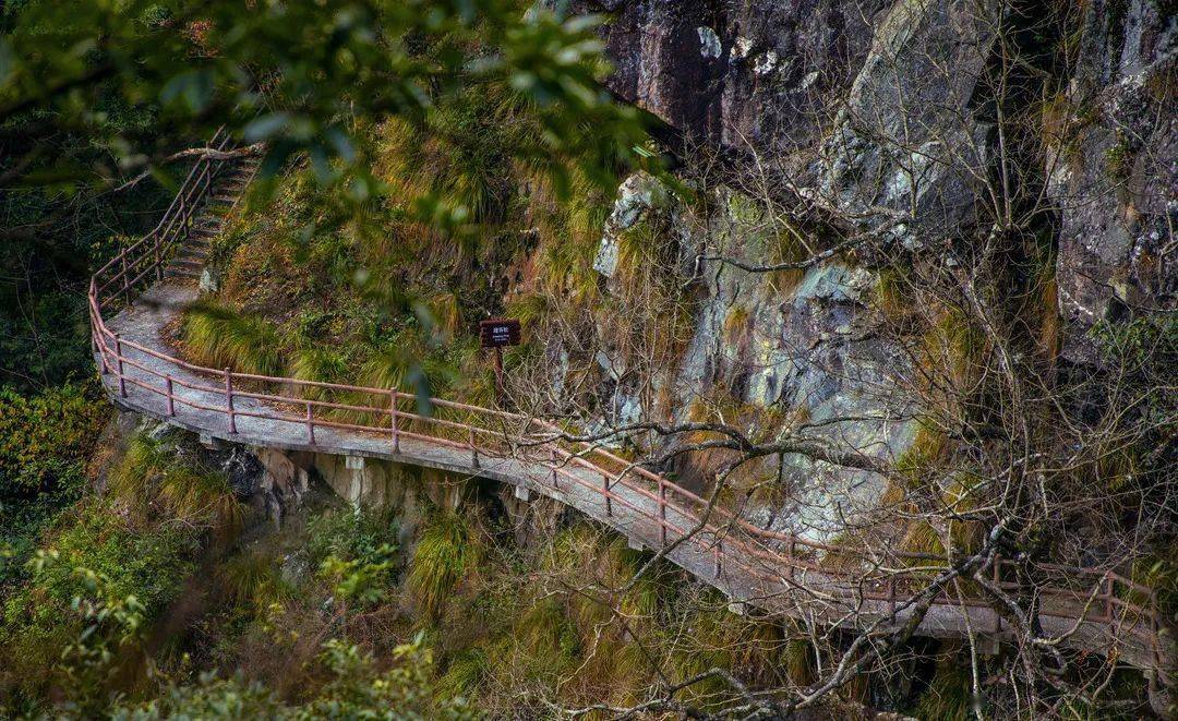 仙气飘飘的三爪仑究竟住了多少仙人