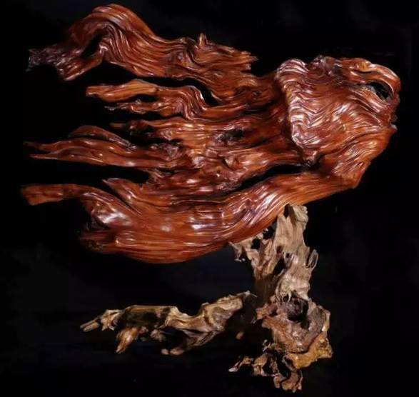 目瞪口呆的崖柏变形计